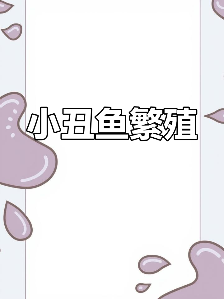 繁殖小丑鱼,奥黑公子展示