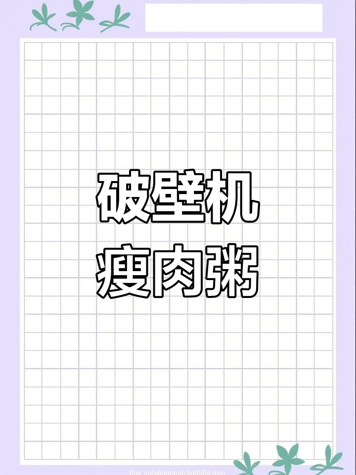破壁机做瘦肉粥,简单又美味