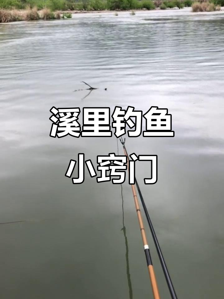 溪边钓鱼技巧大揭秘，如何用短子线钓鲫鲤鱼