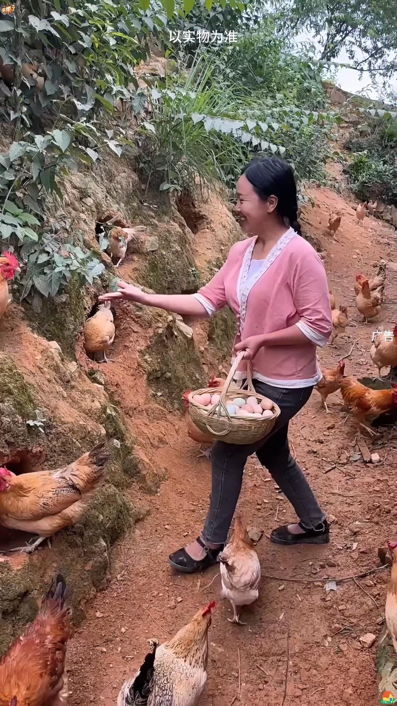 生态散养土鸡蛋 快来一起尝个鲜 营养丰富 林下生态散养鸡蛋