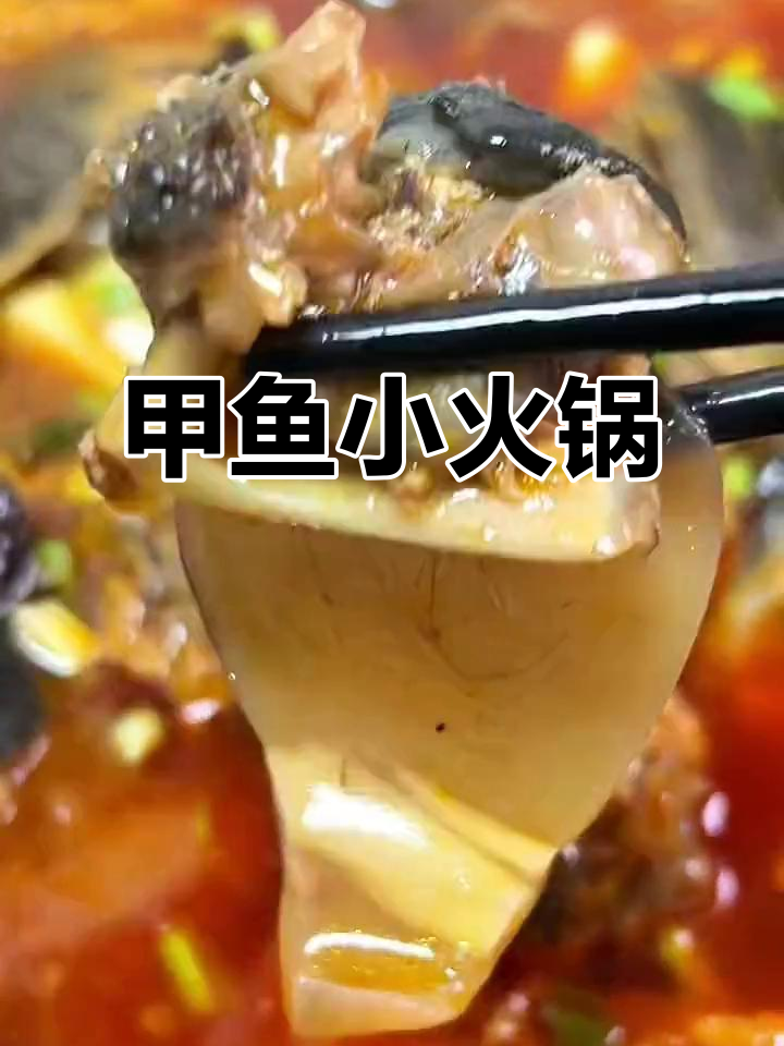 甲鱼火锅,鲜美又营养,家人吃得超满足