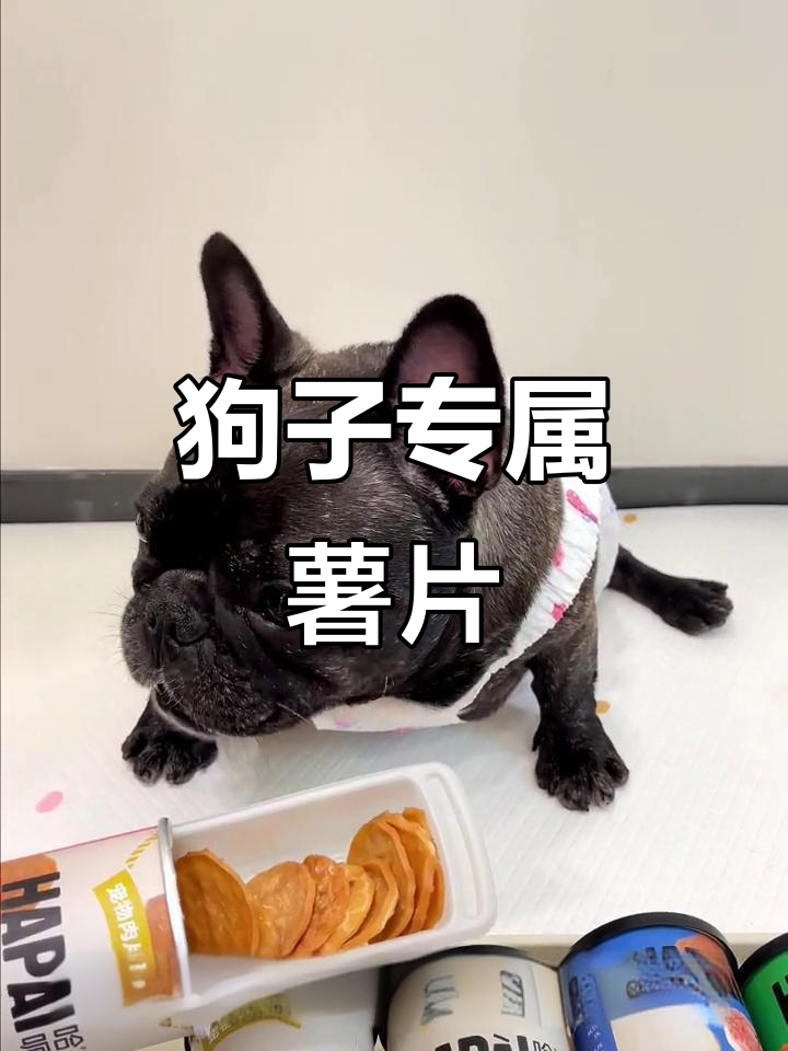 小狗也爱吃薯片,吃了变得更可爱