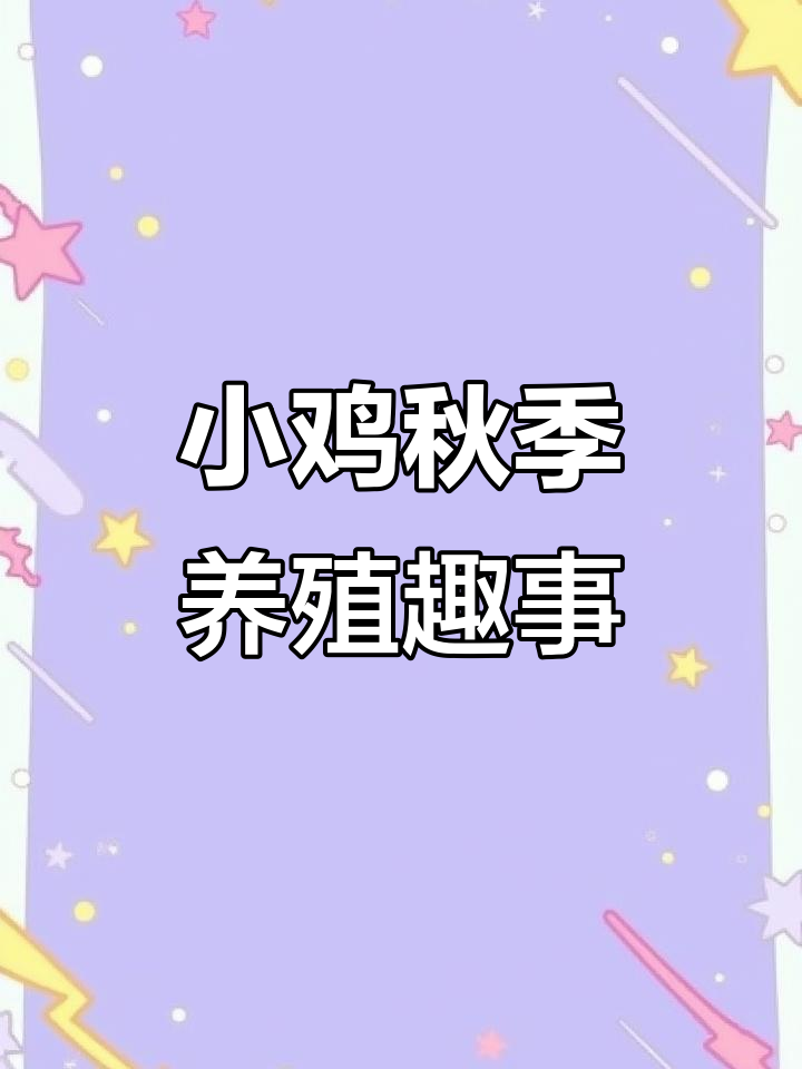 秋天小鸡孵化记:婆罗门与克金球宝宝成长全过程