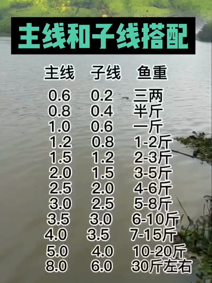 钓鱼主线和子线应该这么搭配