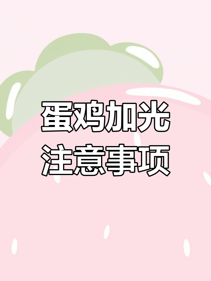 初产蛋鸡加光时机与技巧,如何科学管理光照