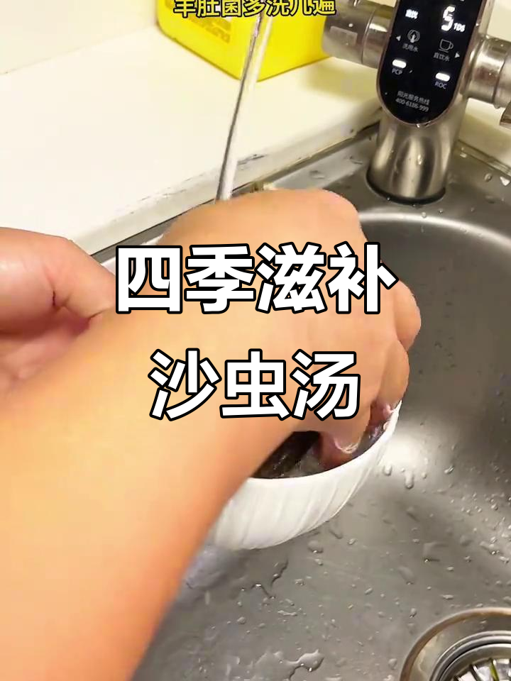 沙虫汤,四季皆宜,老少咸宜,尿床小孩必备!