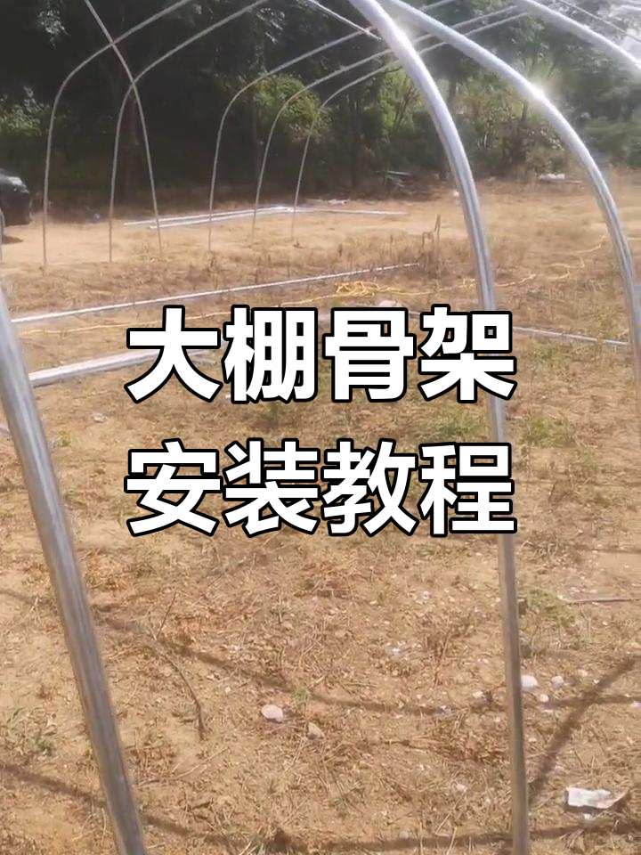 养鹅大棚骨架搭建全过程分享