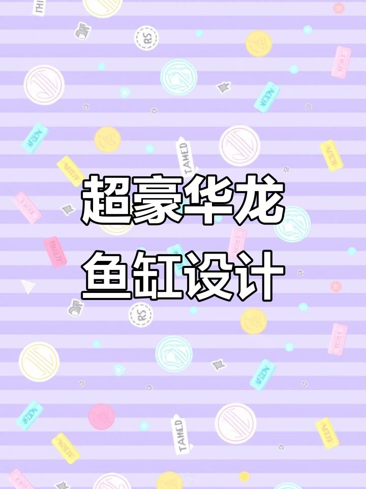 超大龙鱼缸设计揭秘:岩板底柜与过滤系统完美配合