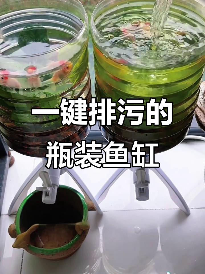 矿泉水瓶养鱼，简单又高效！一键排污让水质清澈