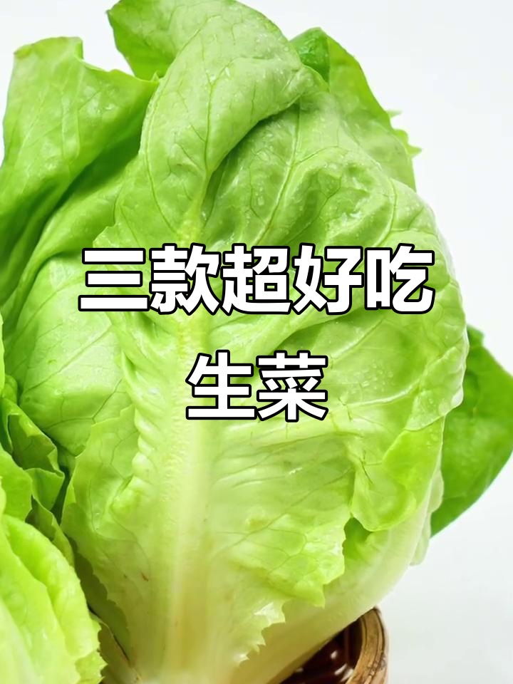 意大利生菜、罗马生菜与奶油生菜的完美对比,营养满分又美味