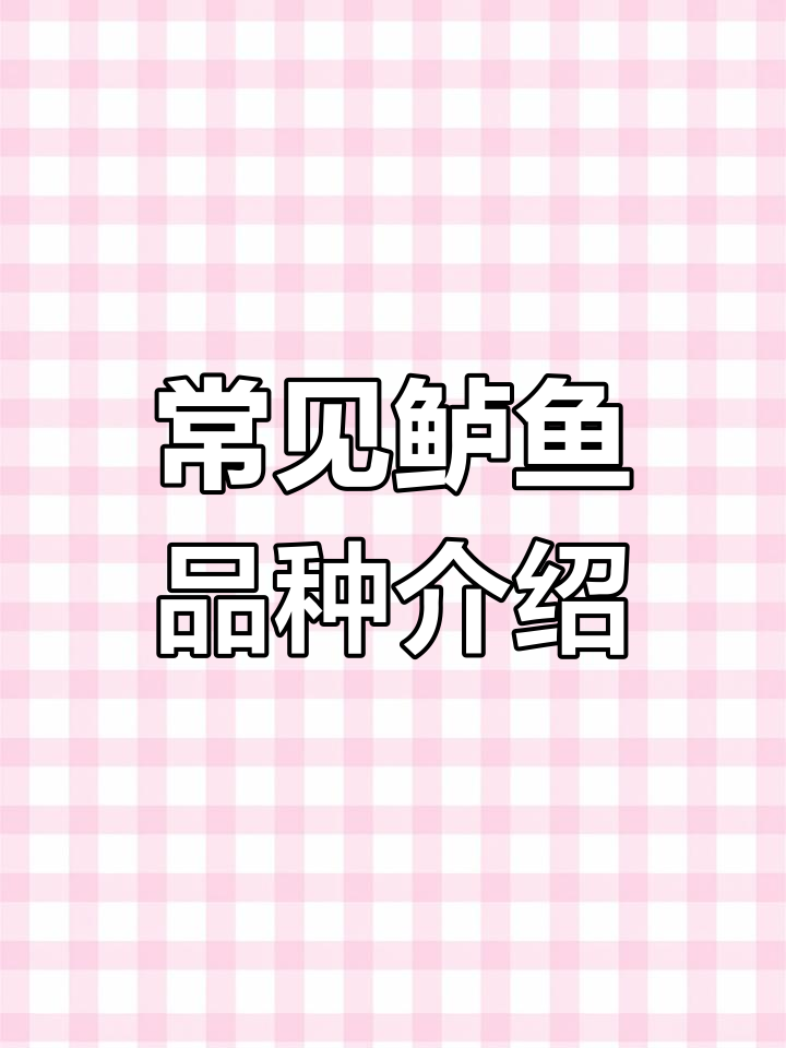 鲈鱼种类大揭秘,哪种最适合你?