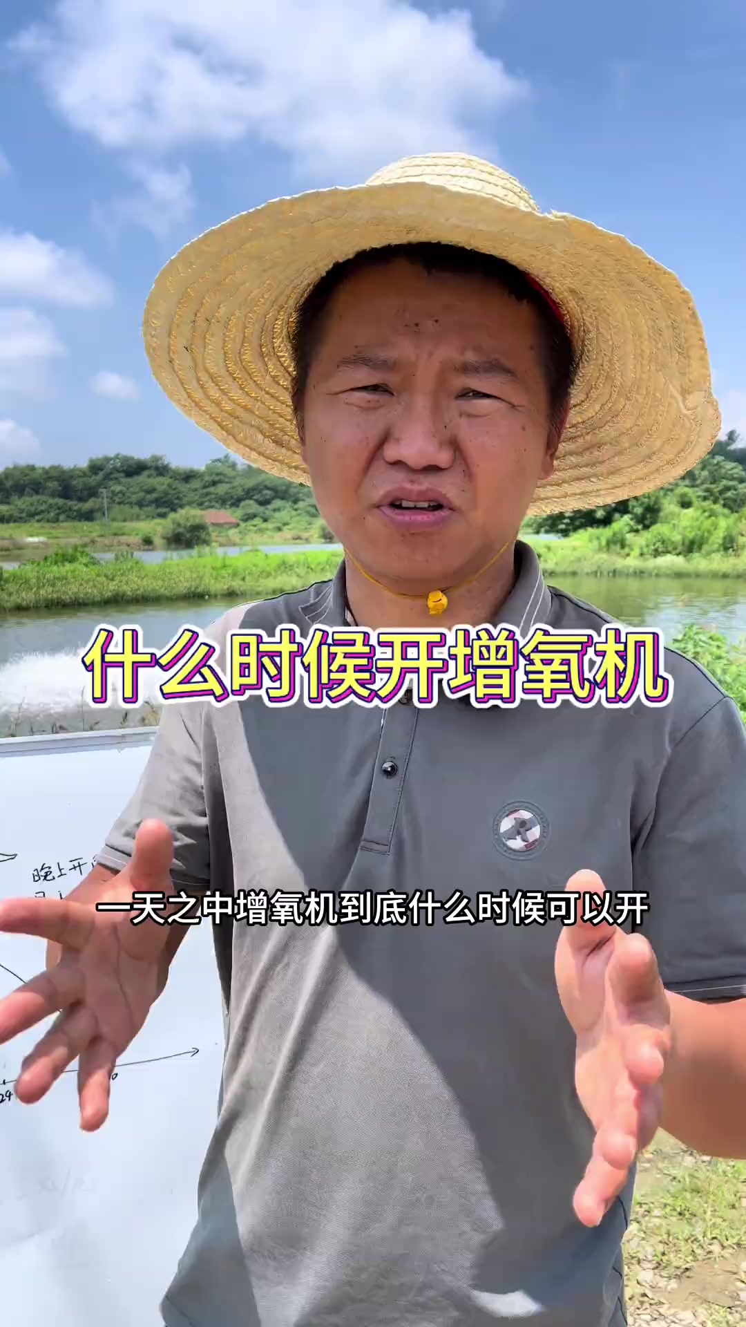 鱼塘增氧机什么时候开增氧机的原理