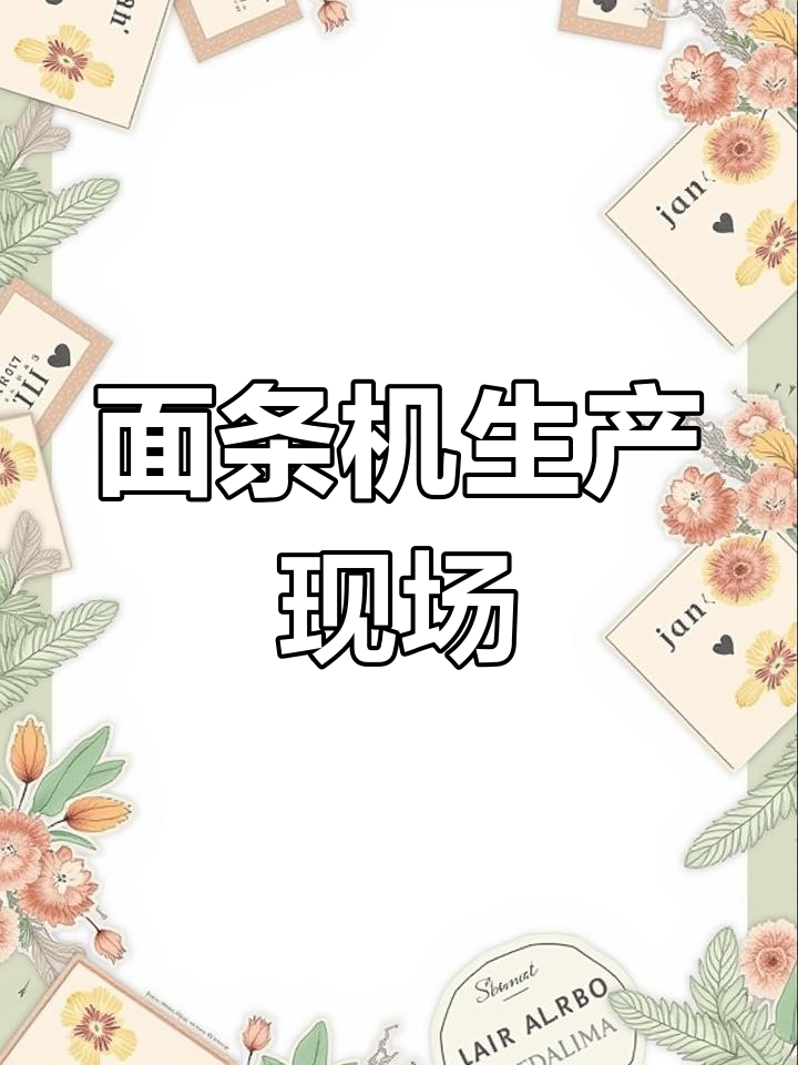 面条机工厂实拍,老板们不容错过!