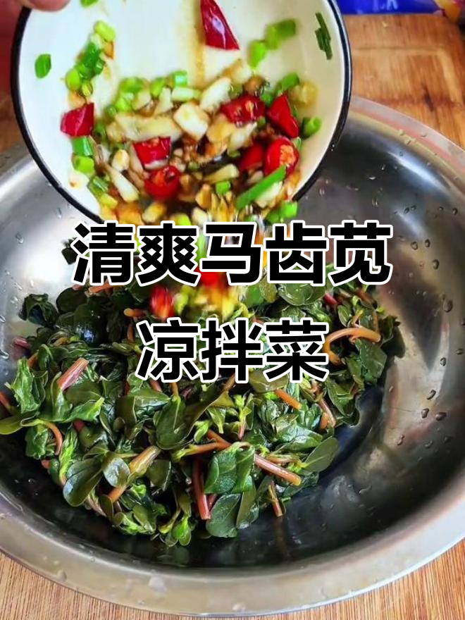 马齿苋凉拌菜,简单又营养,教你快速上手
