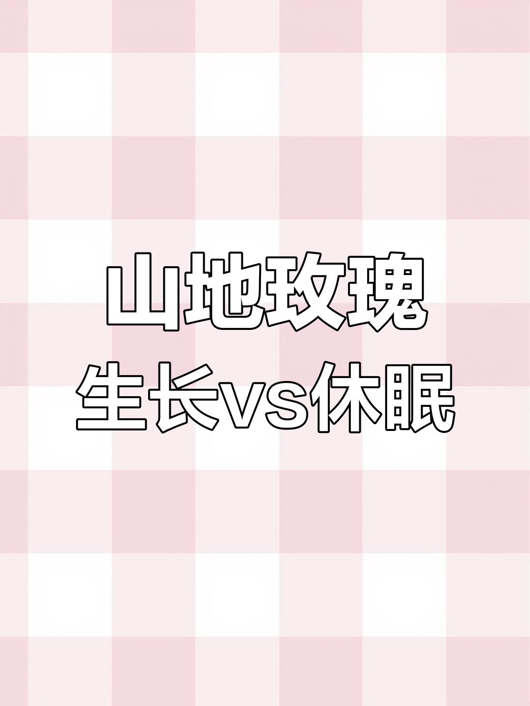 山地玫瑰生长期与休眠期的区别,如何判断它们的状态