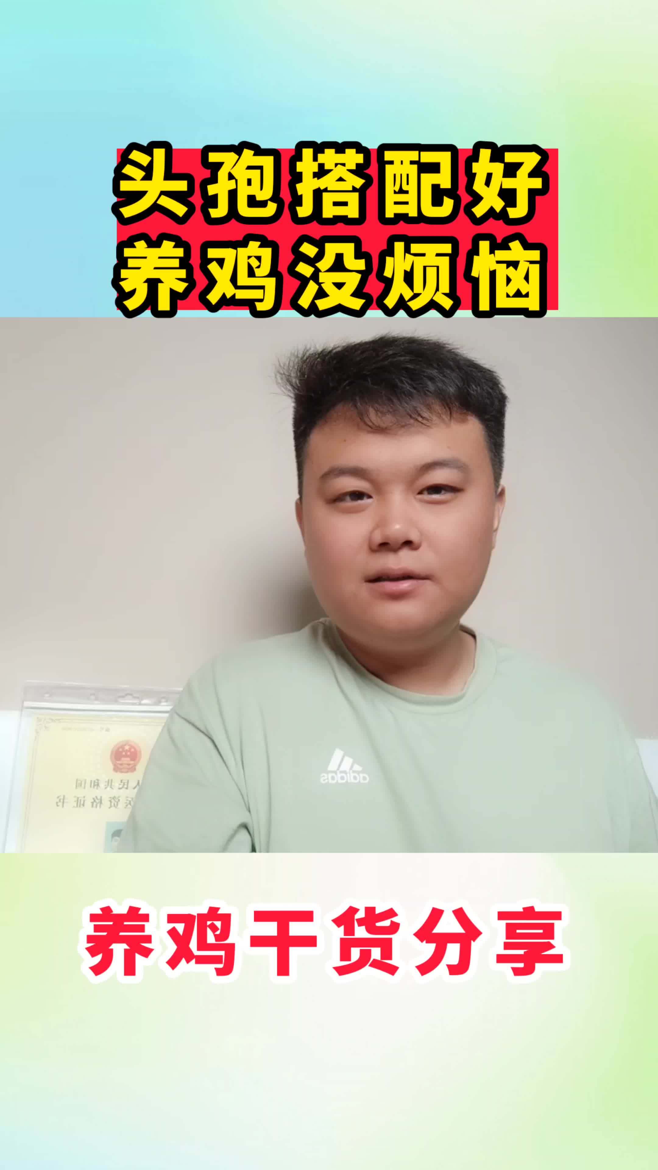 农村散养土鸡 鸡病防治 蛋鸡 肉鸡 养鸡