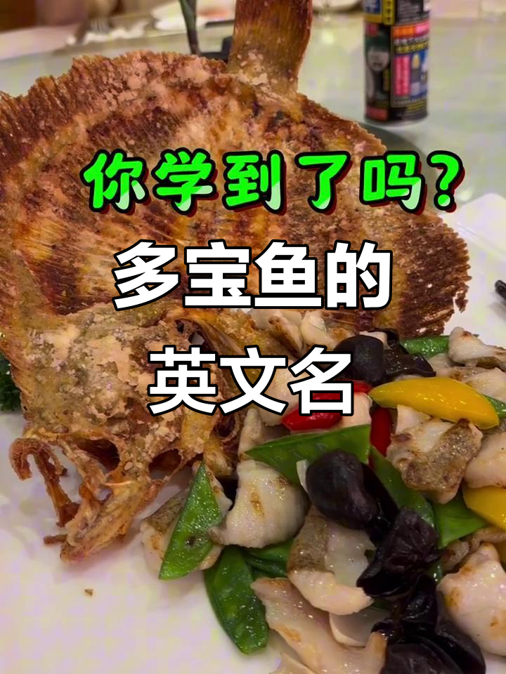 多宝鱼英文原来是“turbado”?原来它有北欧背景!