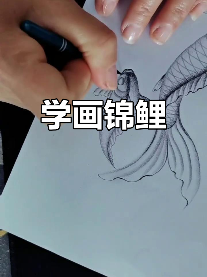 画锦鲤技巧大揭秘，细节决定成败