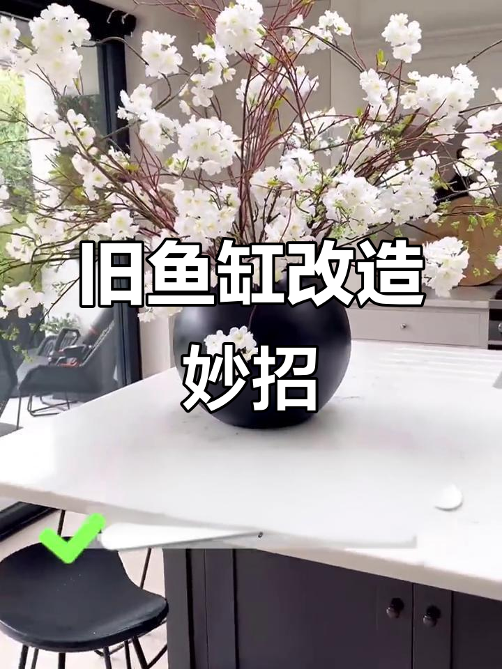 闲置鱼缸变废为宝,喷漆一改新风格