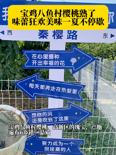 宝鸡八鱼村樱桃:高新区夏日甜蜜瑰宝,红透6乡镇!