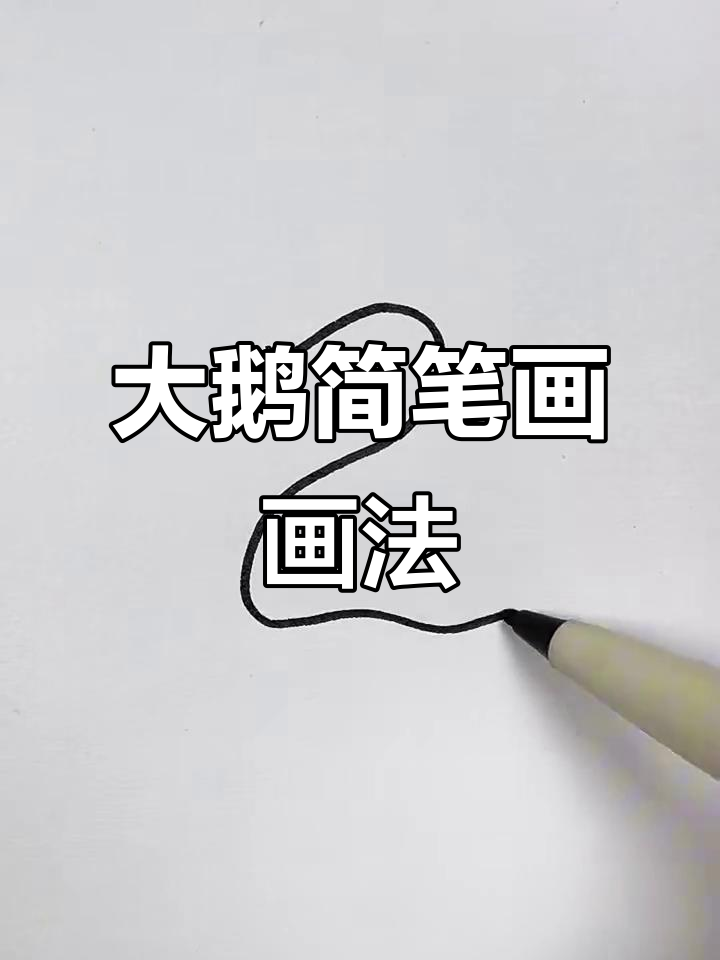 轻松学会大鹅简笔画,简单又有趣