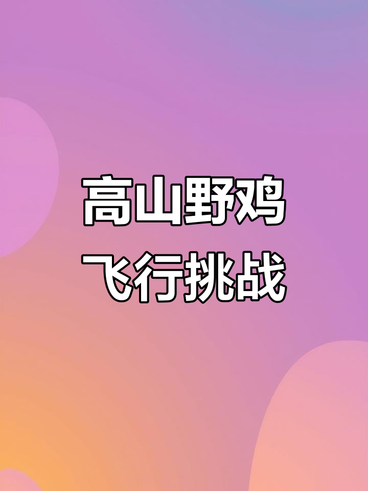 贵州高山野鸡飞得高，抓它累到不行！