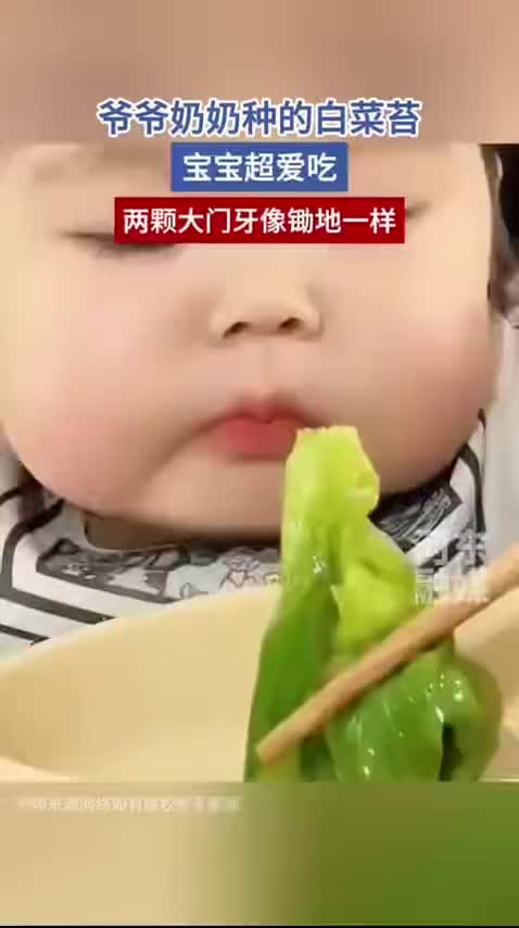 「视频」爷爷奶奶种的白菜苔,宝宝超爱吃,两颗大门牙像锄地一样