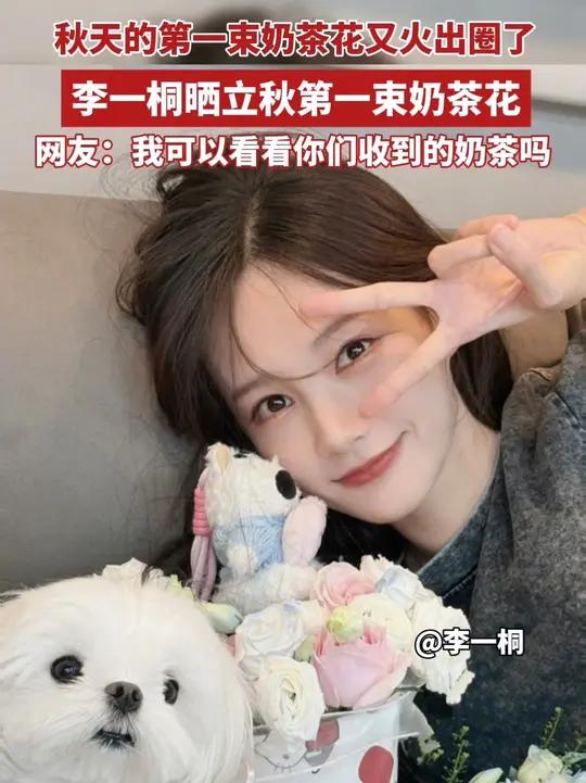 秋天的第一束奶茶花又火出圈了,李一桐晒立秋第一束奶茶花,网友:我可以看看你们收到的奶茶吗(