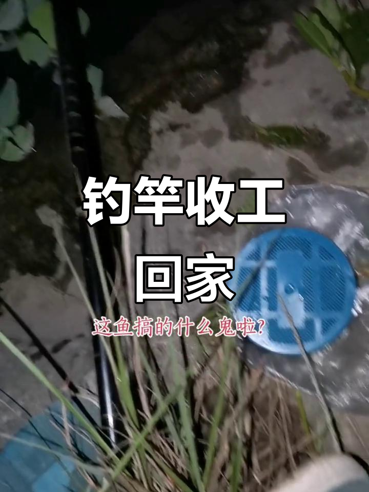 鱼都睡觉了,钓鱼封杆了!今晚真无聊