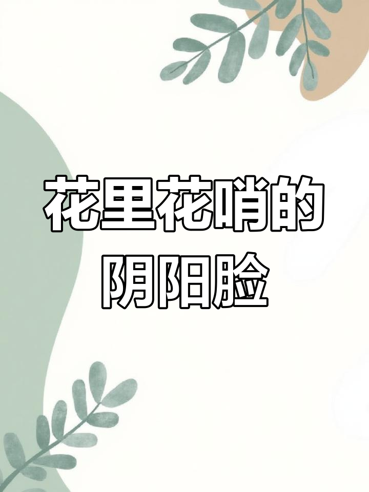 阴阳怪气表情包,姐妹们快安排上!