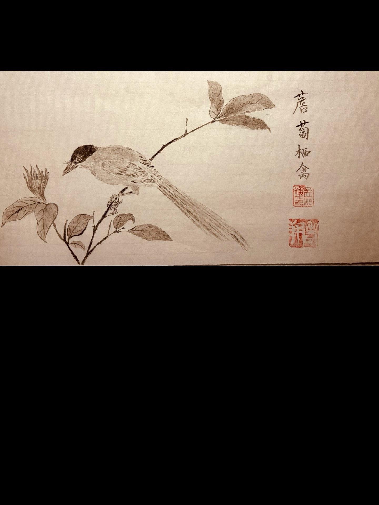 感受国画的意境之美 因为热爱所以坚持 好的作品都是有灵魂的 带你走进画里 工笔画