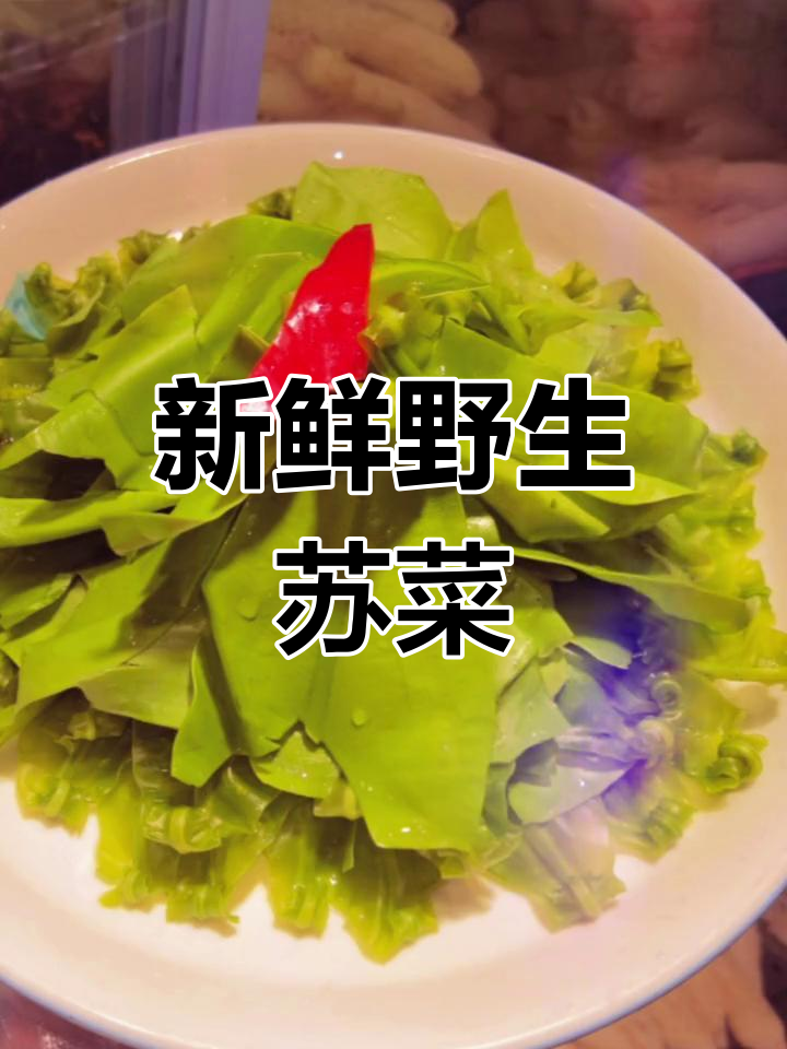 刚采摘的台湾野生苏菜