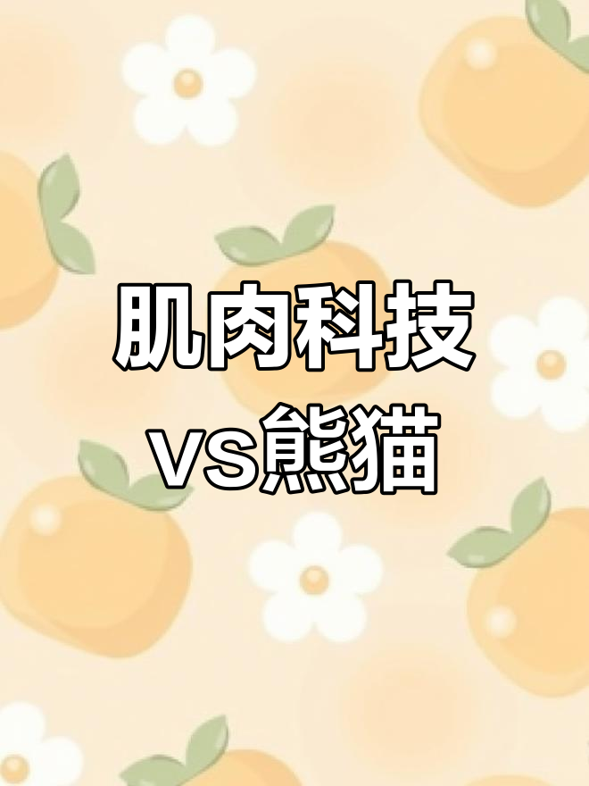 肌肉科技与熊猫蛋白粉评测:哪个更值得买?