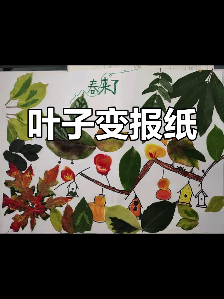 春天的树叶手抄报