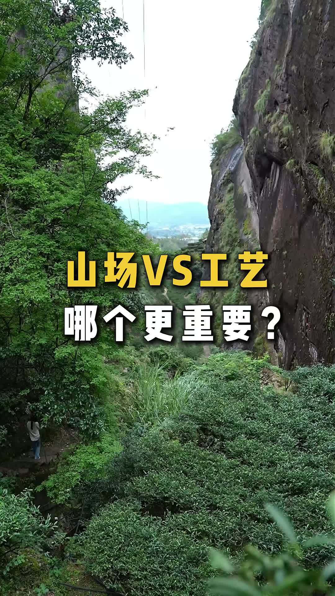 山场和工艺哪个更重要?关于武夷岩茶中这个极富争议的话题,这位在茶圈浸淫了二十多年的茶企创始