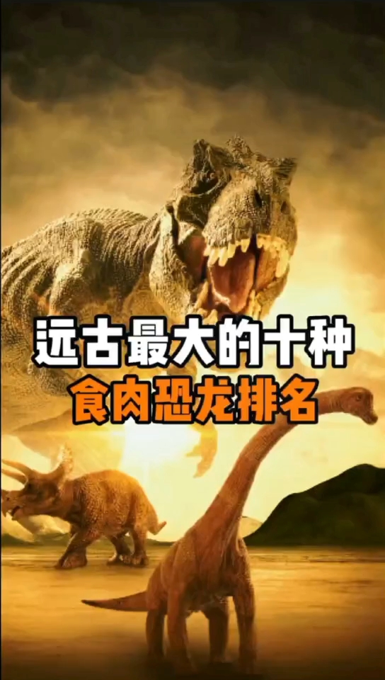食肉恐龙排名