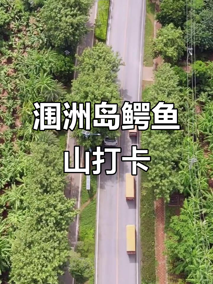 涠洲岛鳄鱼山火山景观,航拍打卡必去之地