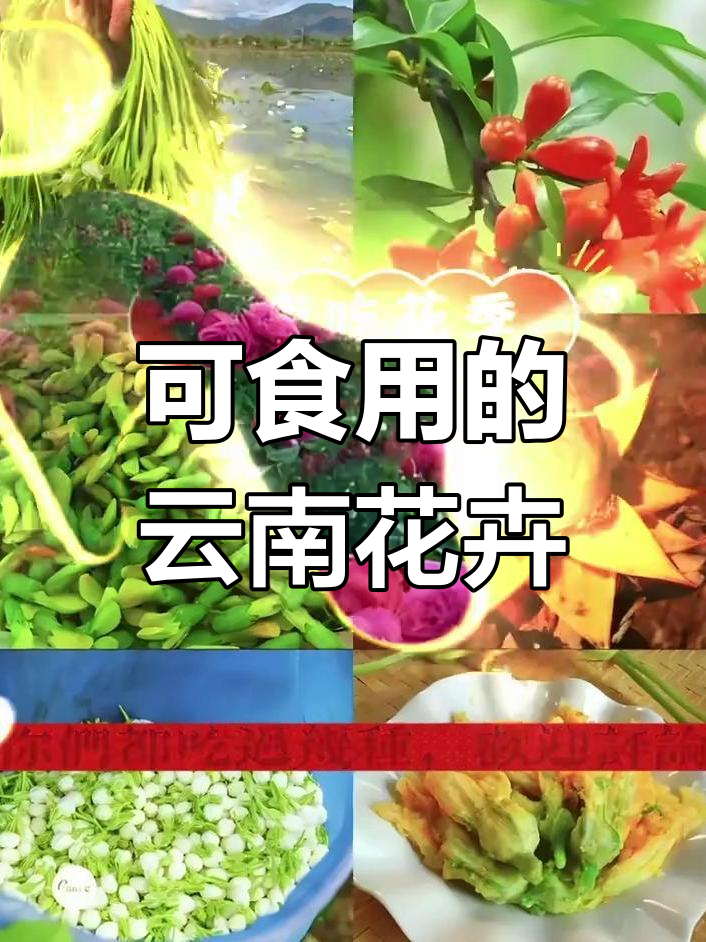 云南15种可食用鲜花大揭秘,你吃过几种?