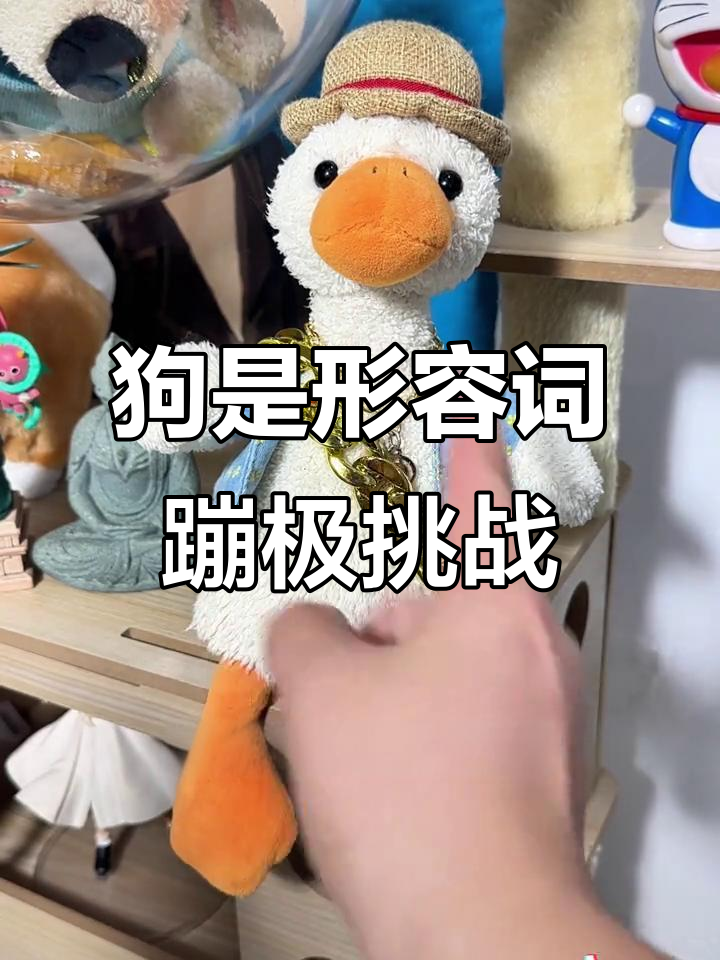 百万粉丝来临,傻狗蹦极挑战!老秦和复读鸭的搞笑对决
