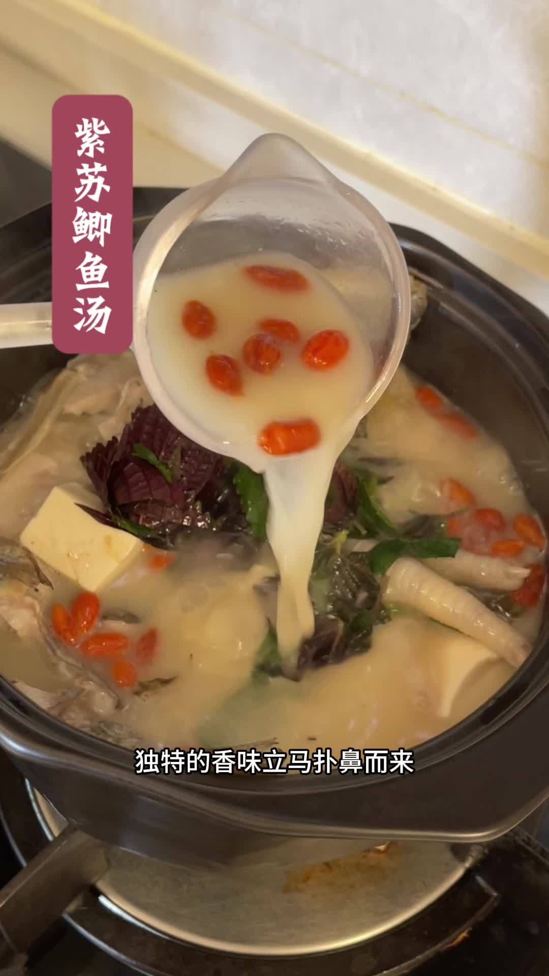 鲜美滋补，紫苏鲫鱼汤，温暖身心的家常美味 杂食者 美食也，广食者 营养也，每天要保持吃到3