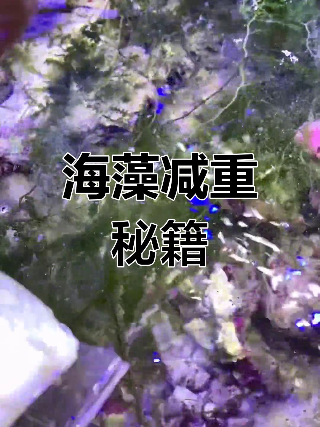 半个月瘦5斤,凉拌海藻让你轻松减肥!