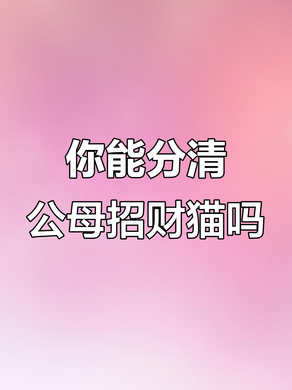 招财猫公母大揭秘,你能分辨吗?