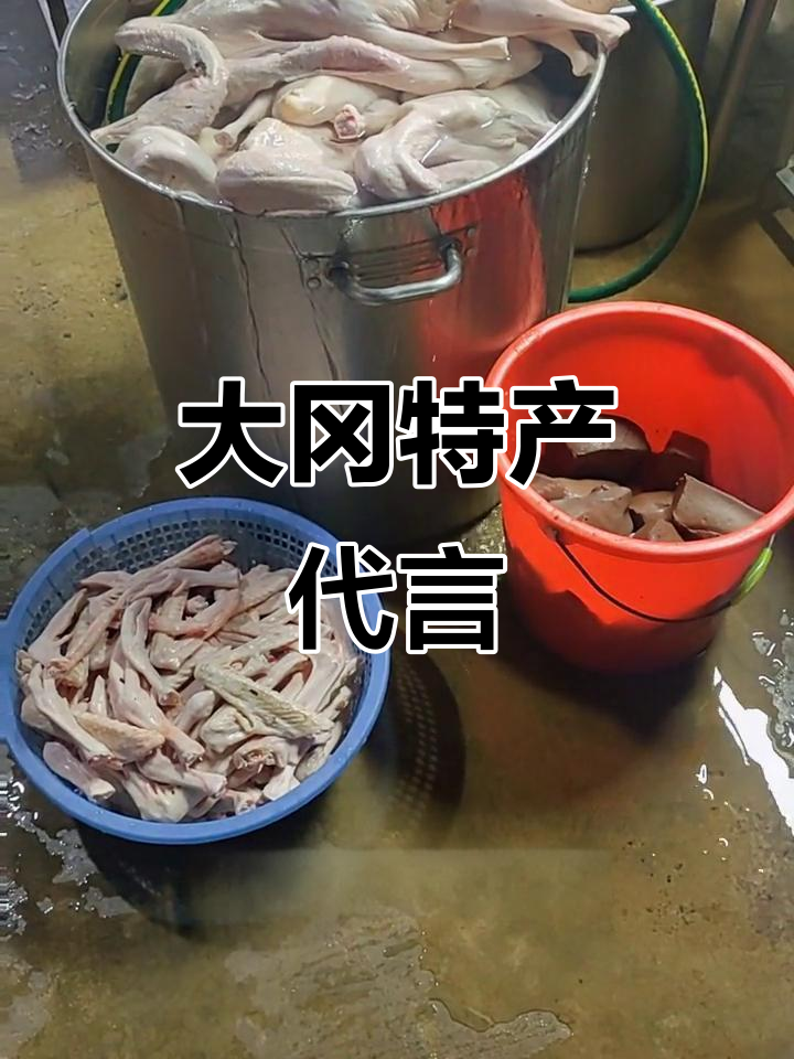 盐城大冈特产:盐水鹅与插酥饼的完美搭配