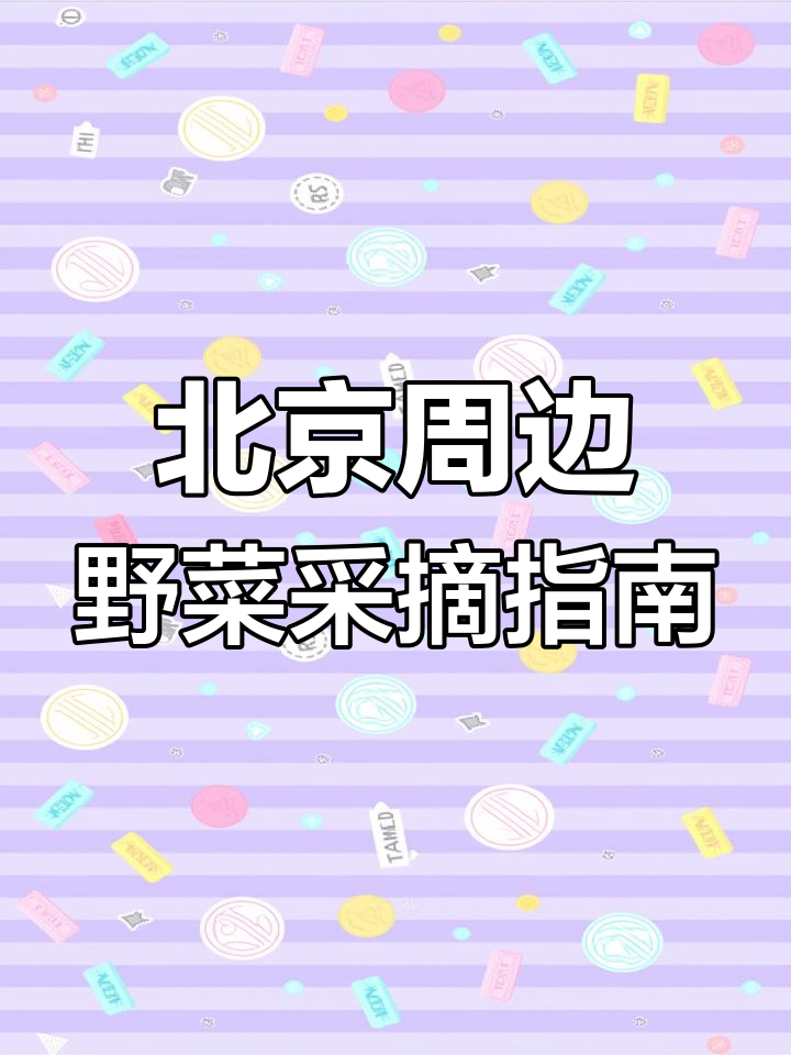 北京周边12种常见野菜,采摘与食用全攻略