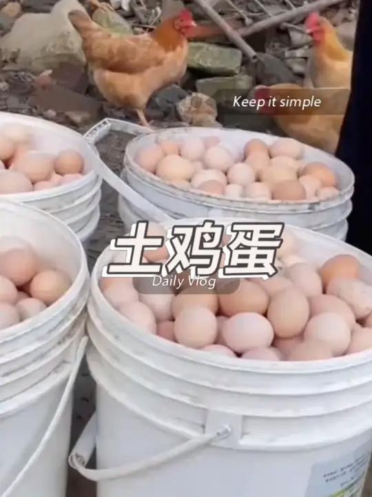 农家散养土鸡蛋25.9就发50个,蛋清浓稠蛋黄饱满,品质嘎嘎的!农村土鸡蛋 正宗新鲜土鸡蛋