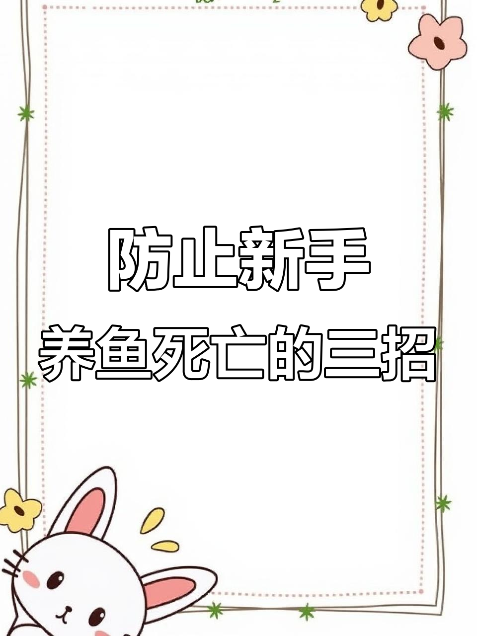 新手养鱼必知三大法则,避免死鱼的秘诀