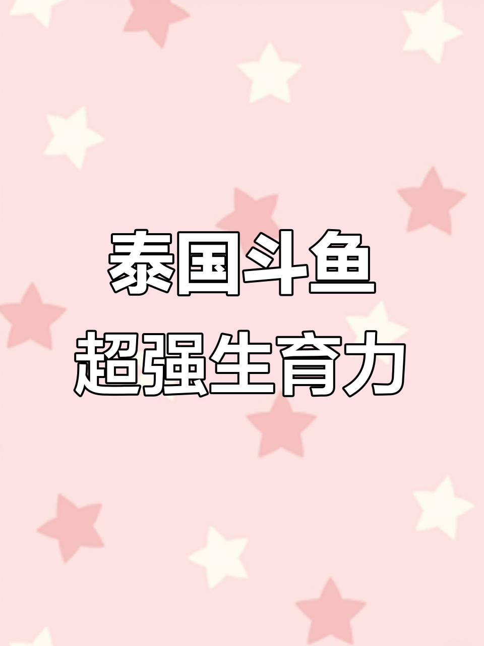 泰国斗鱼繁殖能力惊人,真能生!