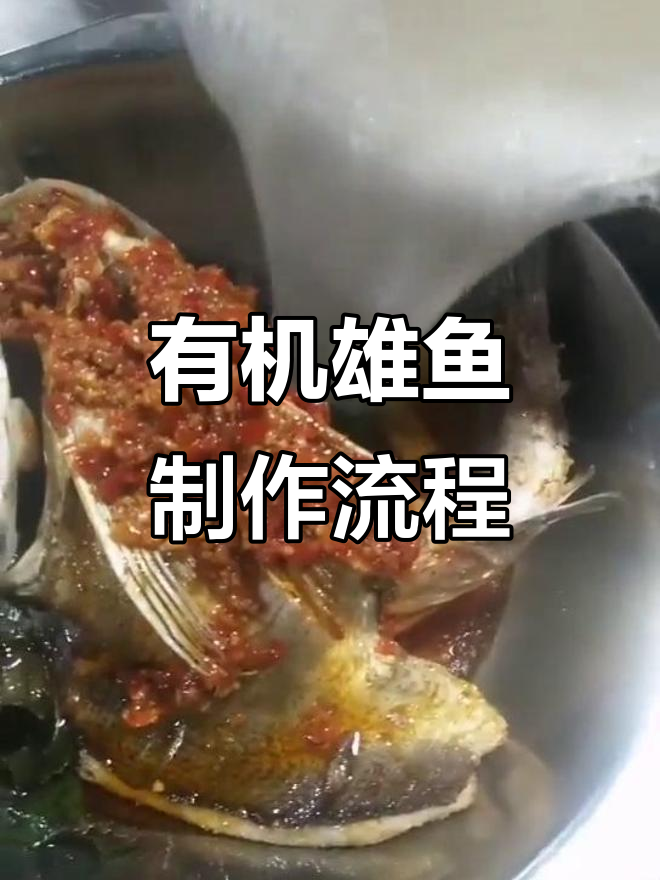 长沙厨子唐军揭秘生态有机雄鱼制作秘诀,酱汁与高汤完美结合