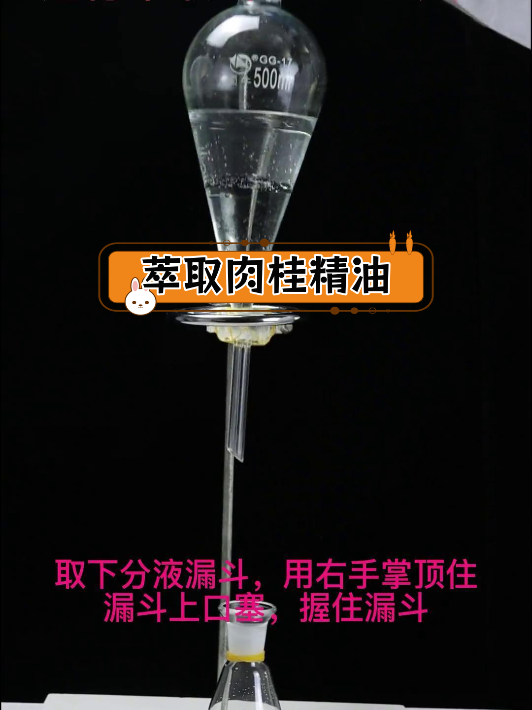 肉桂精油提取实验(二)