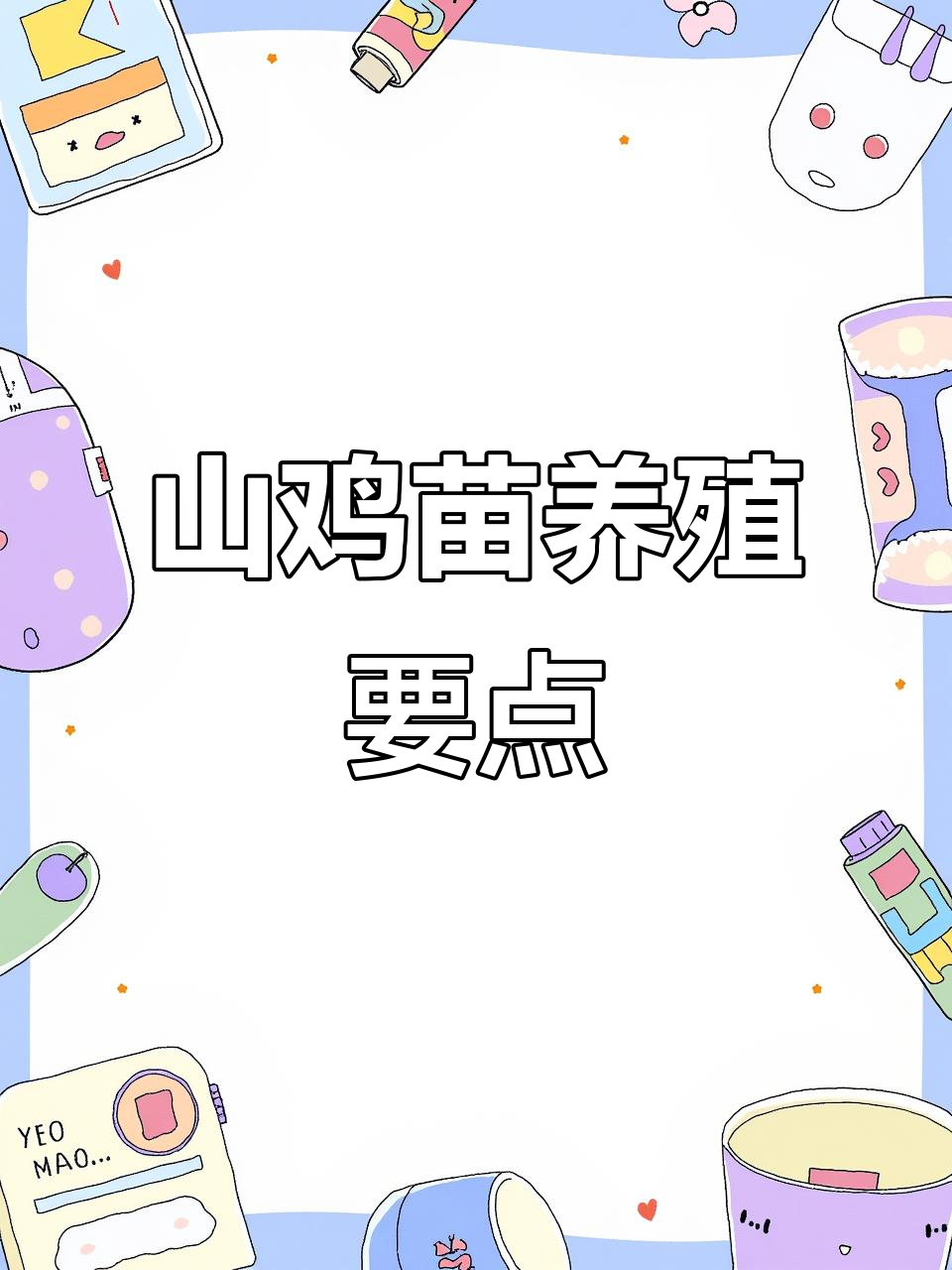 七彩山鸡苗养殖技巧：从保暖到防病全攻略
